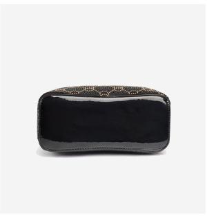 ZCJ6001 AS PICT-big-6